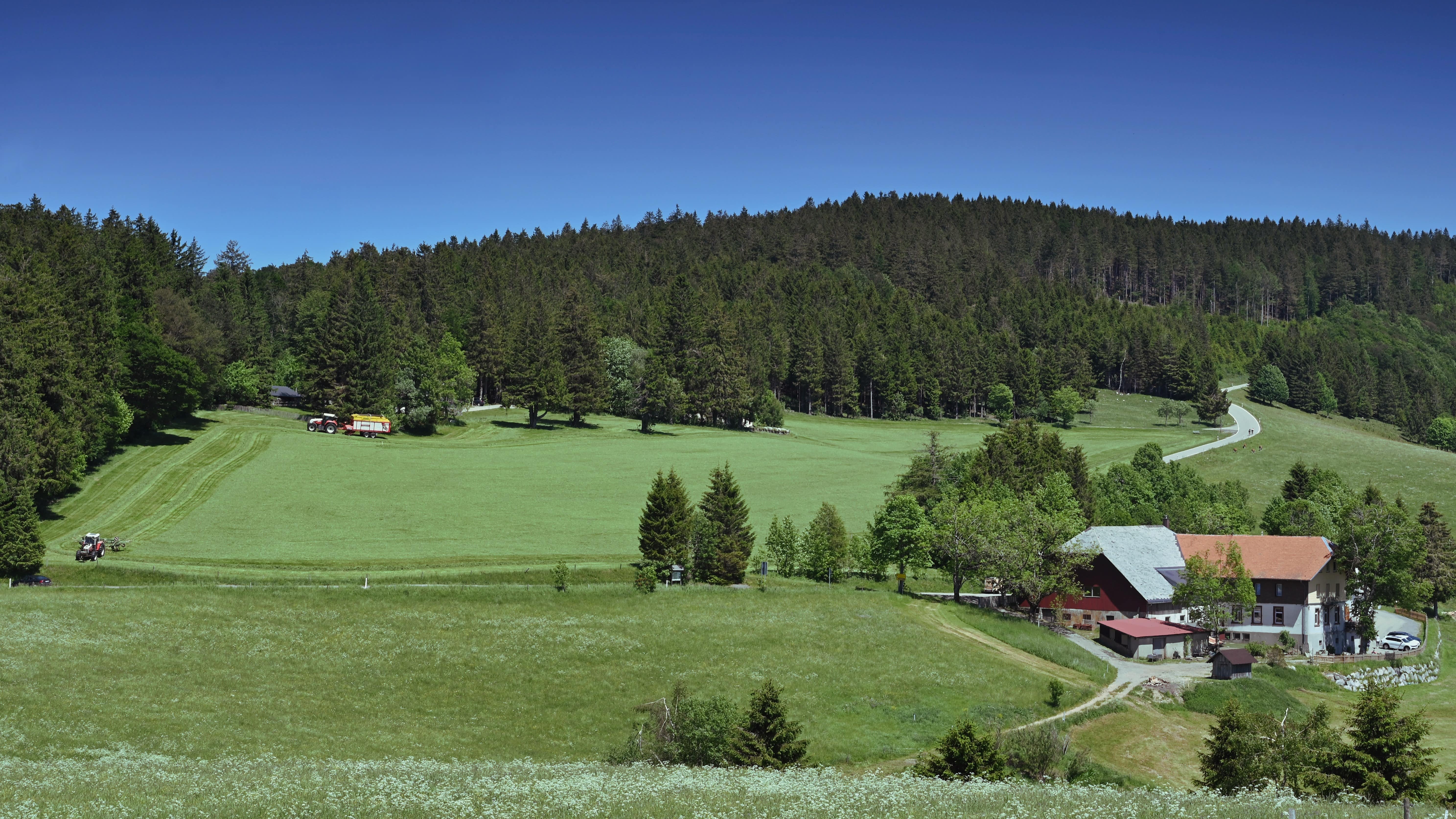 Trachten und Traditionen – Bauernhofurlaub im Schwarzwald