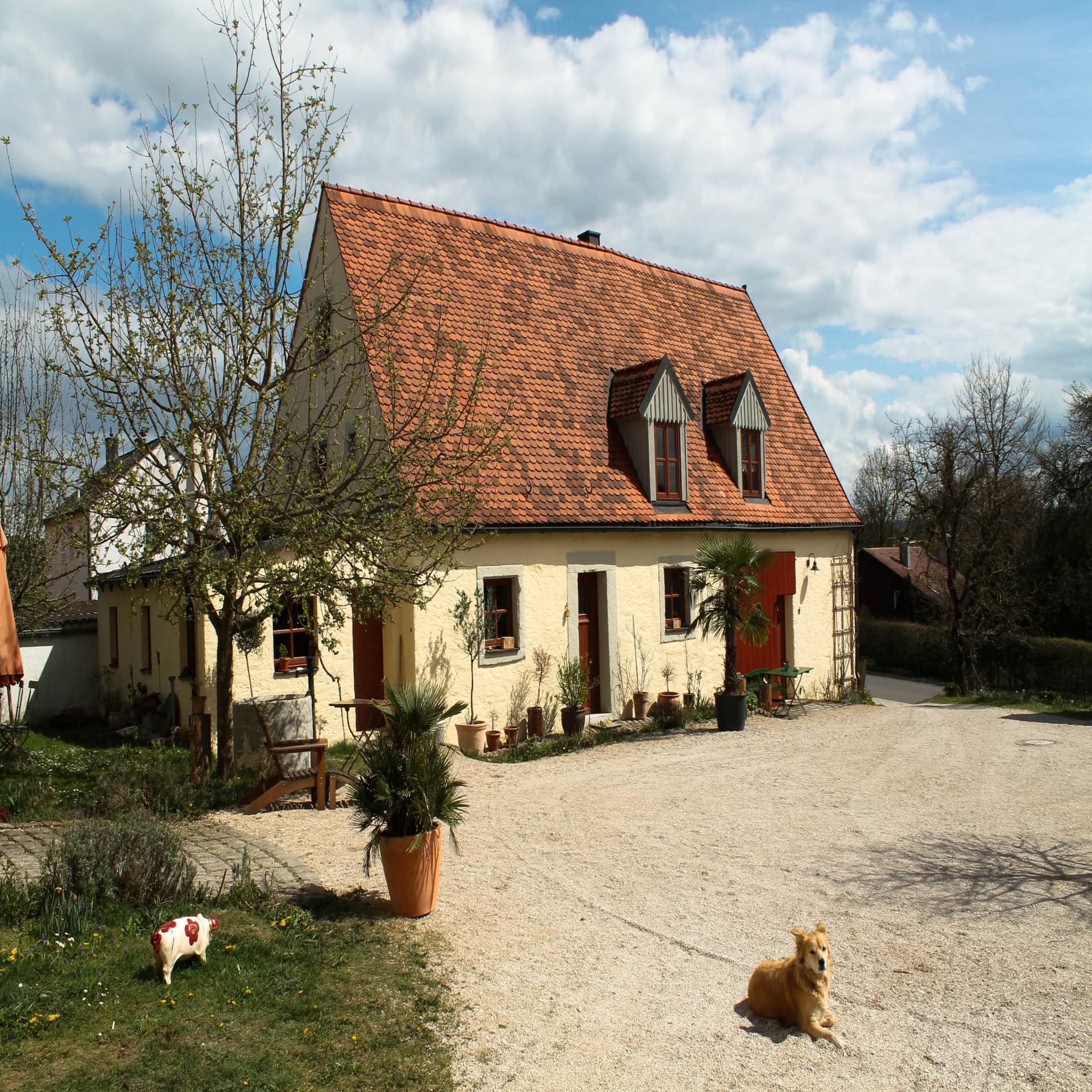 Blick auf ein helles Bauernhaus, vorne liegt ein Hund, linke läuft ein kleines Schwein herum. 