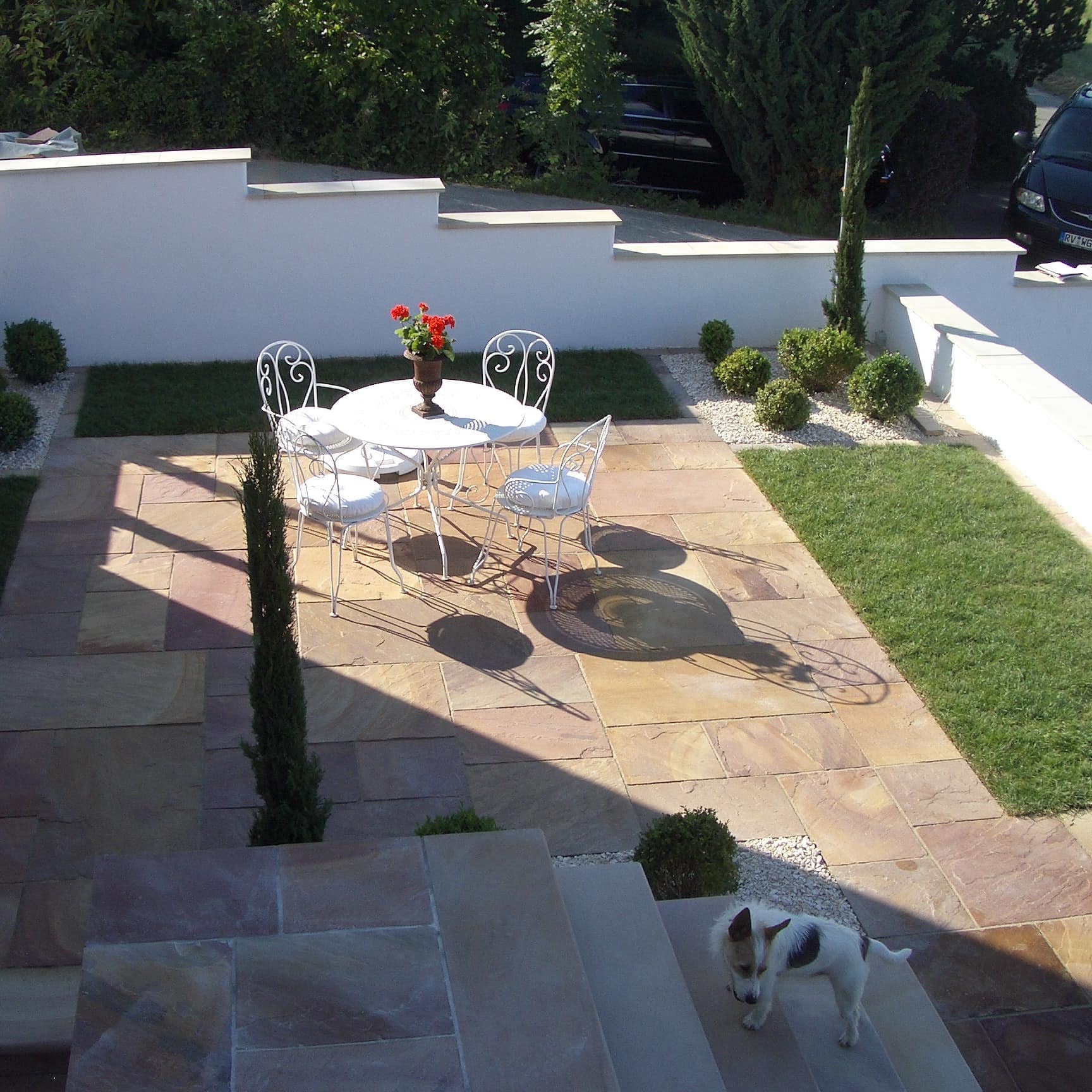 Hund auf der Terrasse einer mediterranen Ferienwohnung in Meersburg, die sehr hundefreundlich ist