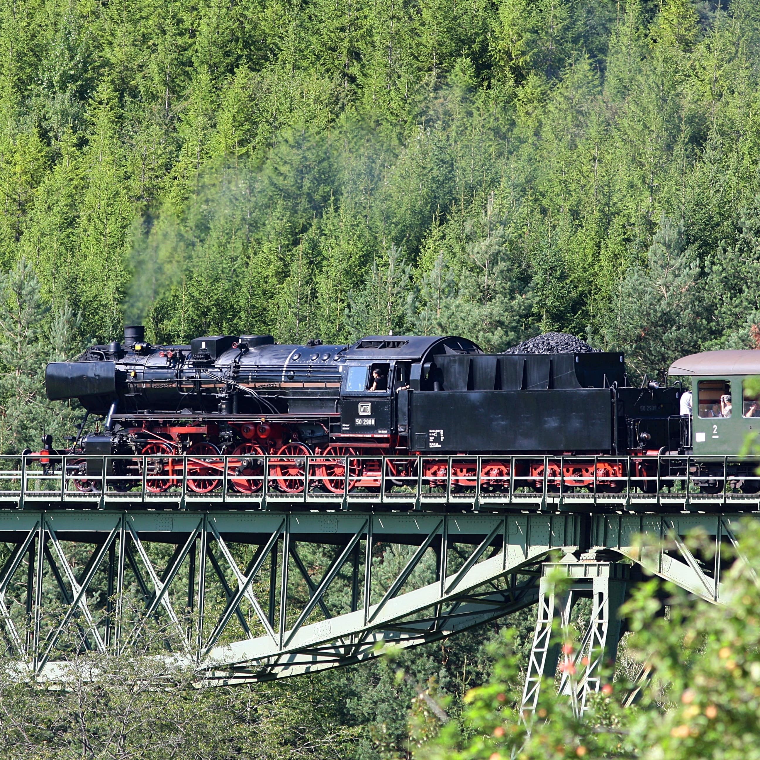 Die Wutachtalbahn während der Fahrt.