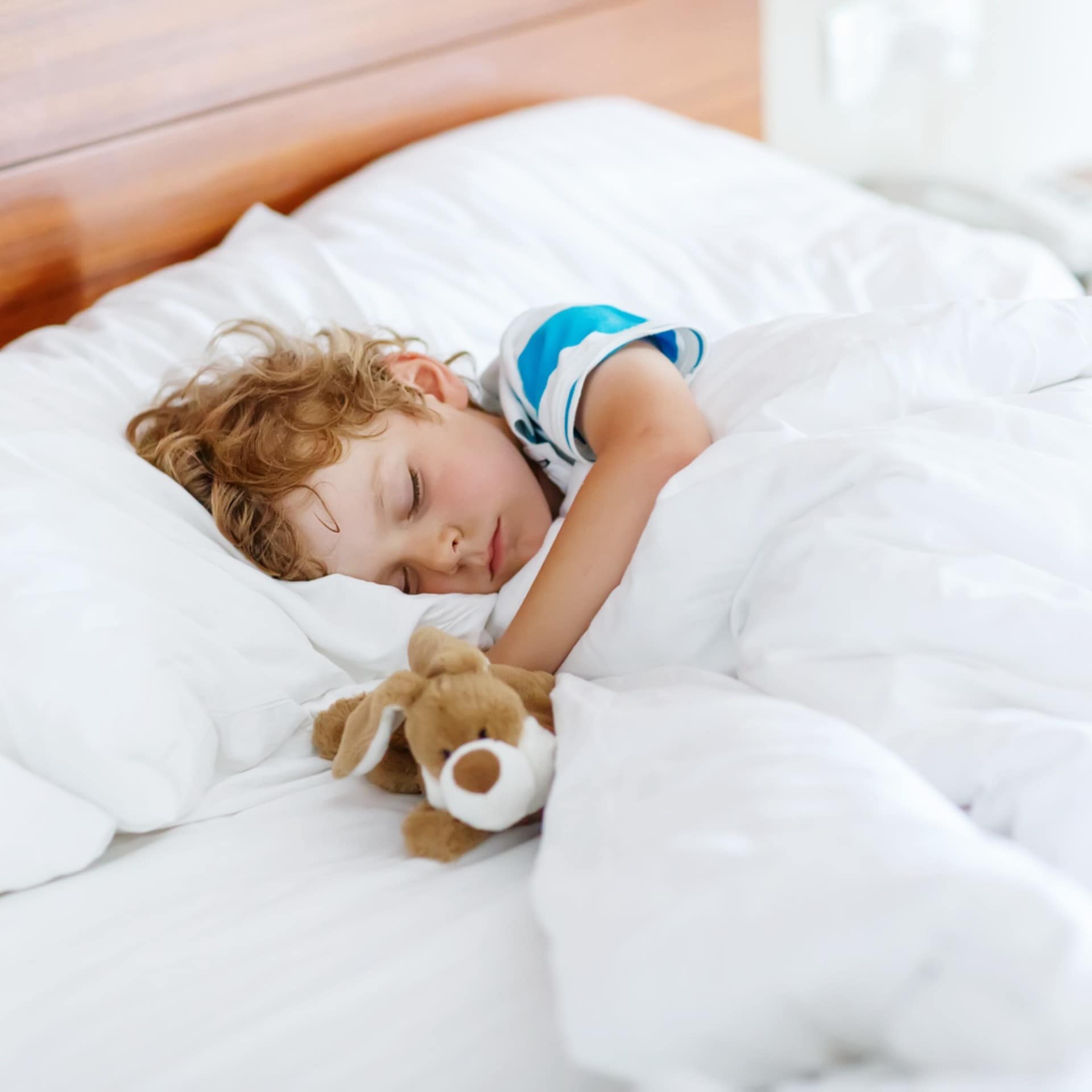 Kleiner Junge mit Kuschelhase schläft in einem weißen Hotelbett.