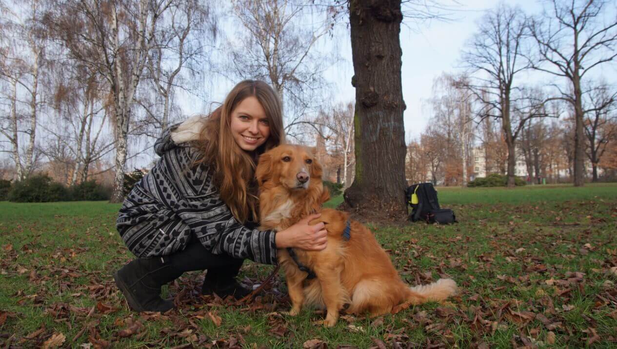 berlin hund 1