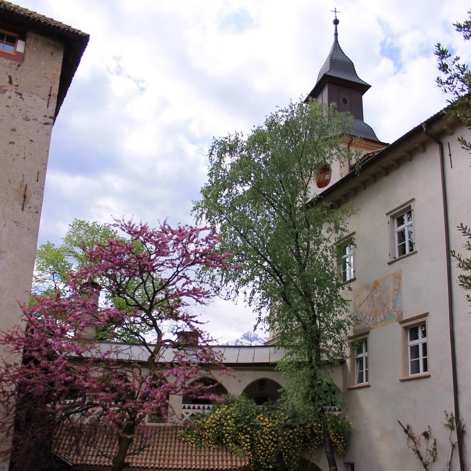 Ein blühender Baum steht im Hof von Schloss Knillenberg, in dem Sie eine Ferienwohnung mieten können