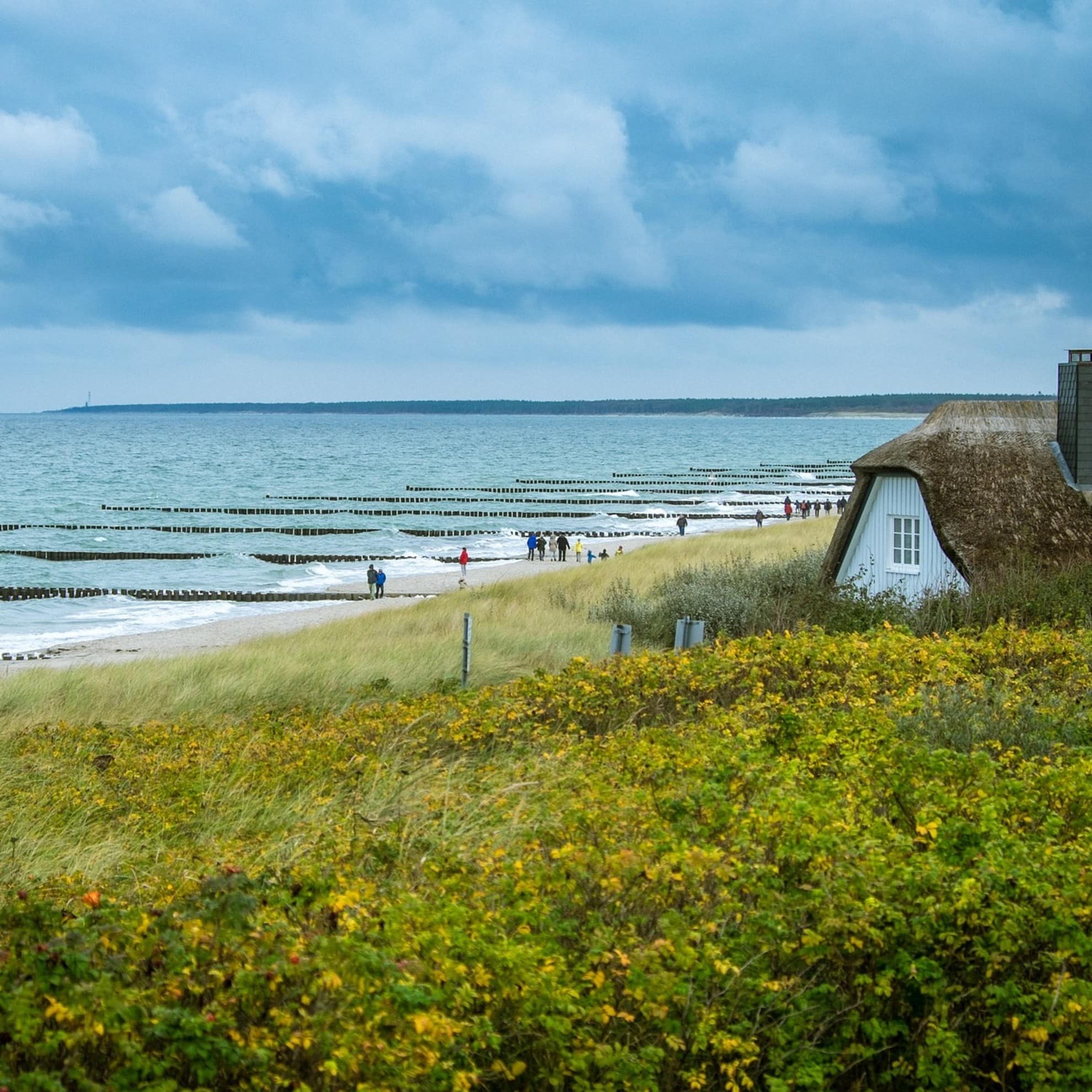 Seitenblick auf einen Bungalow direkt am Meer umgeben von Natur