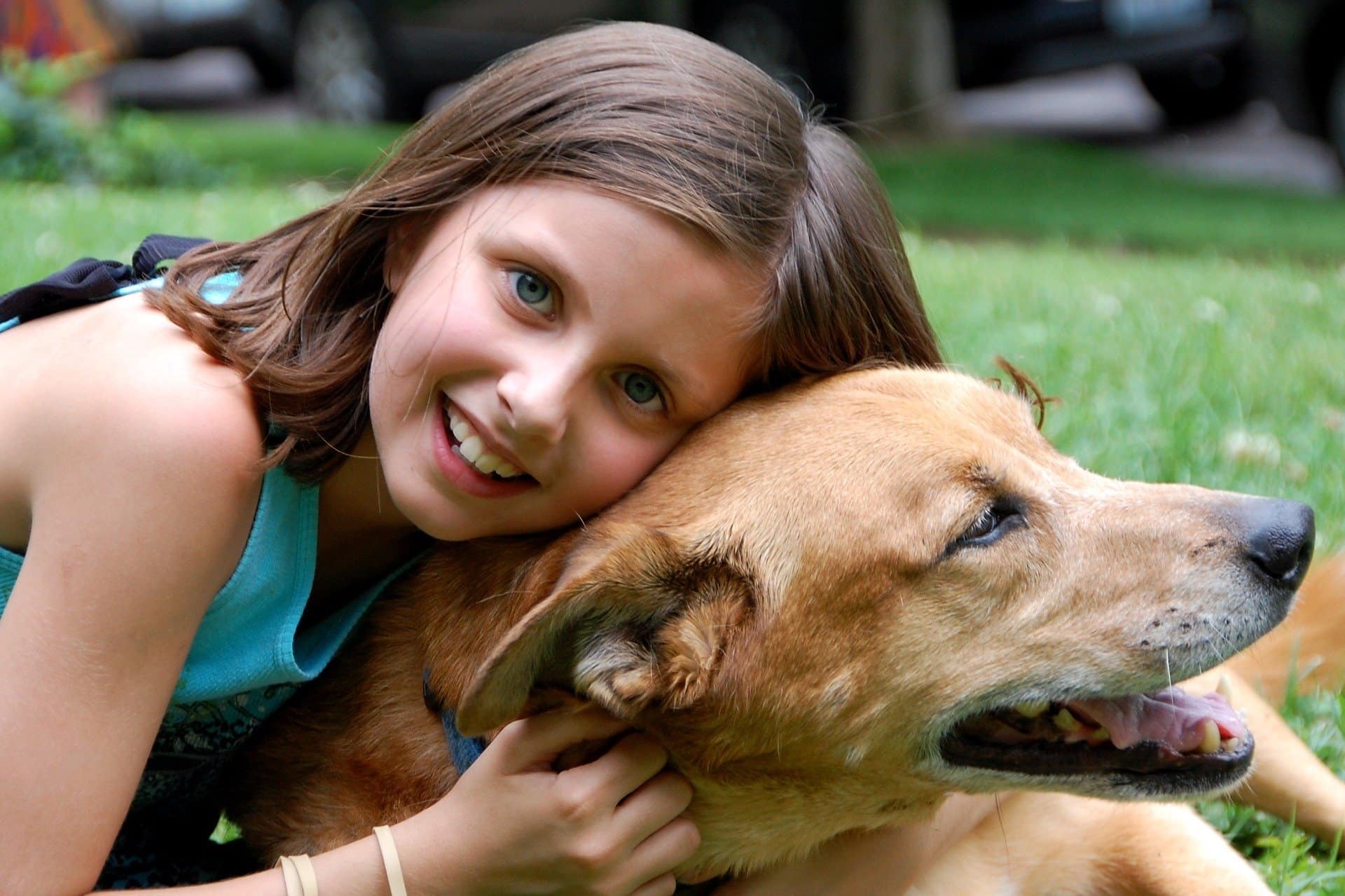 little girl playing with dog