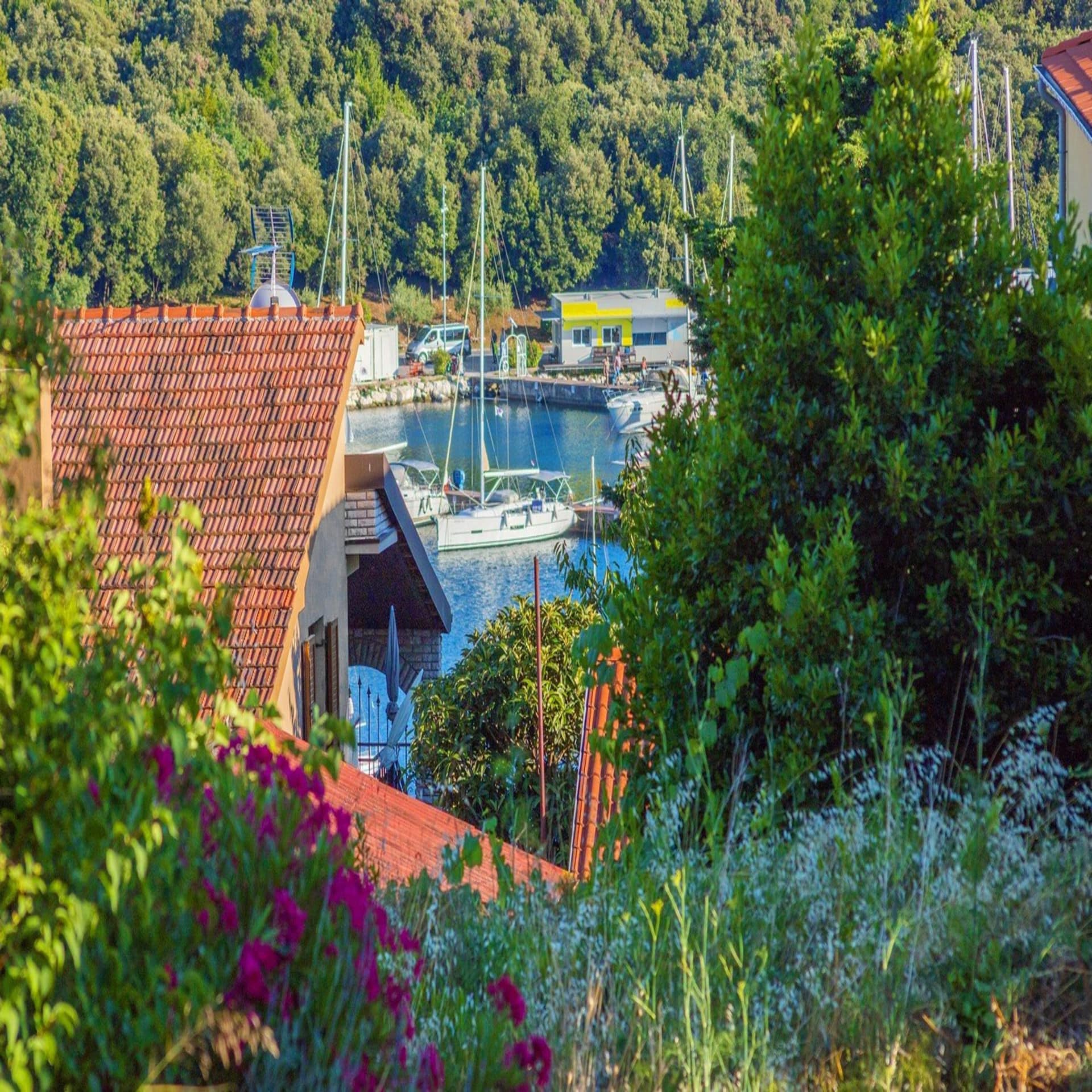Blick zwischen Häuschen und Bäumen auf einen kleinen Hafen in Istrien. Die Sonne scheint.