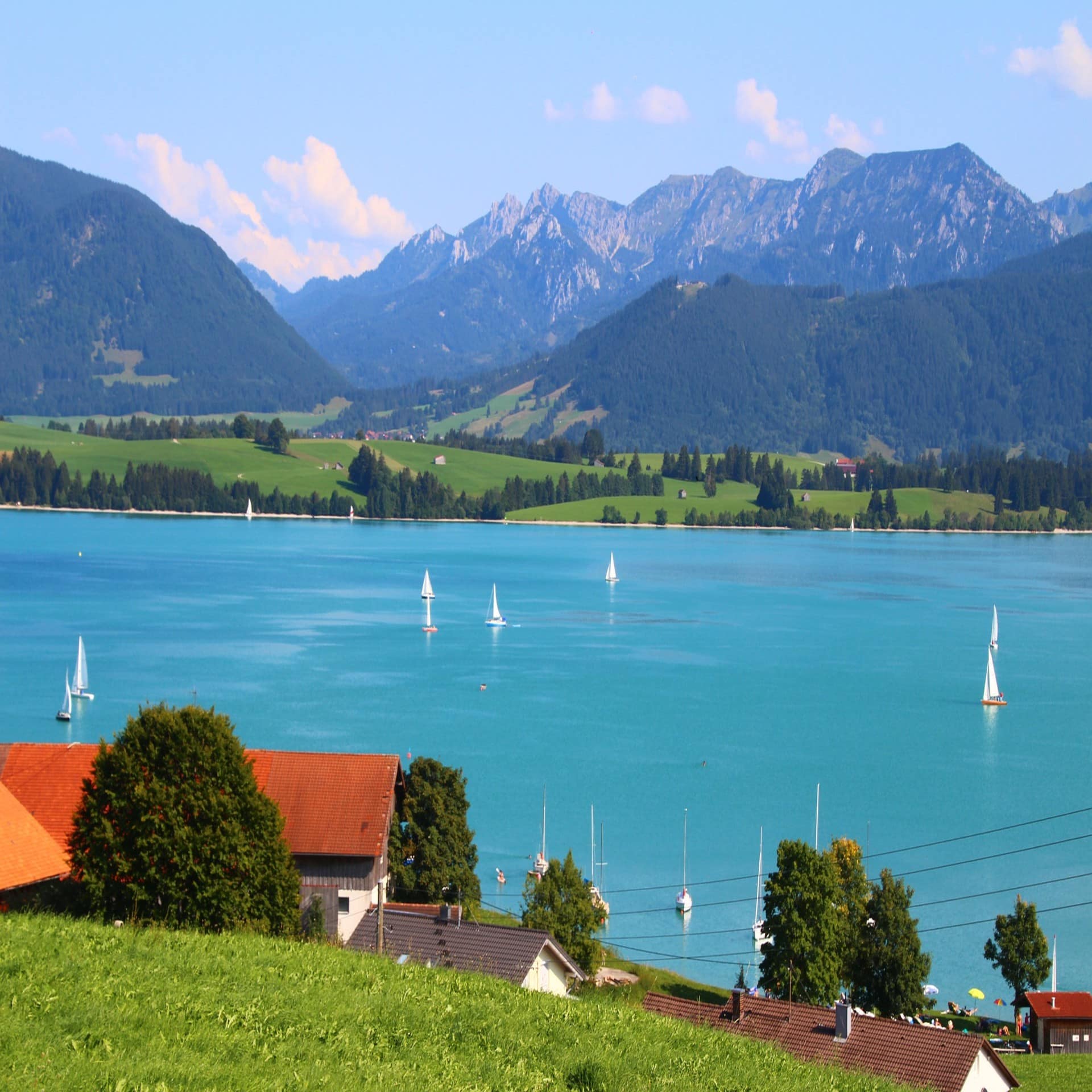 Blick auf einen Bergsee mit Segelbooten. Im Vordergrund sind Häuser zu sehen, im Hintergrund Wiesen und Berge.