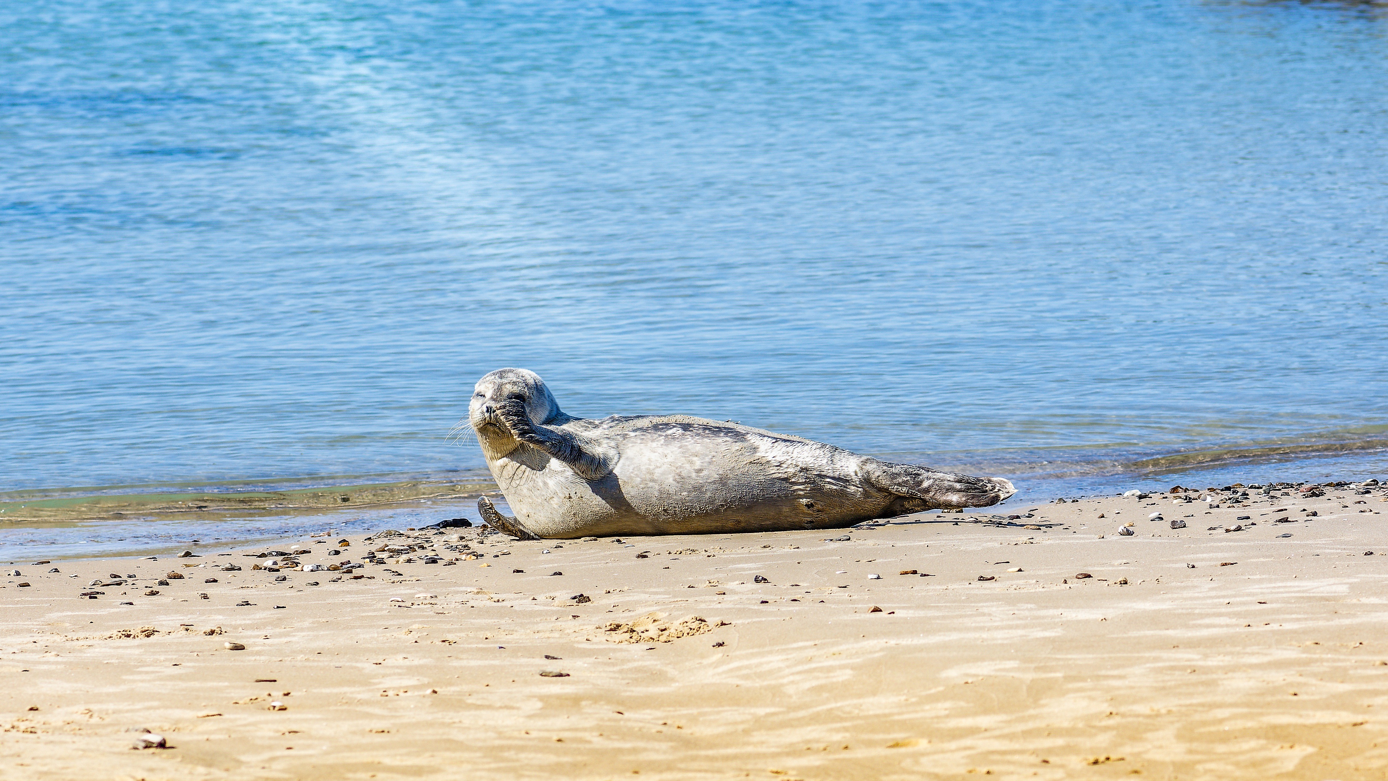 Ein Wochenende an der Nordsee – so genießt man das Leben!
