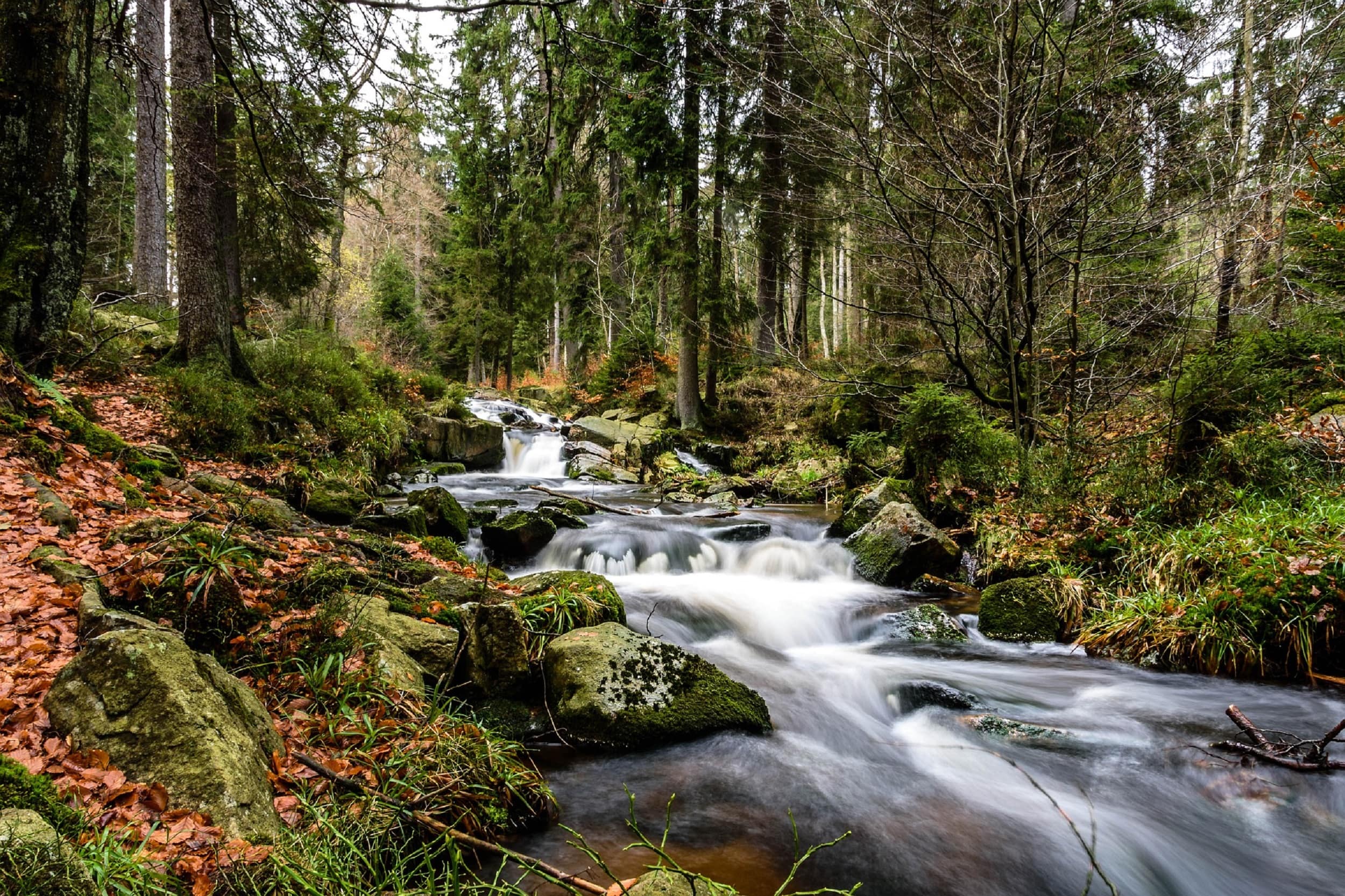 Eine Ferienwohnung im Harz – Traumregion mitten in Deutschland