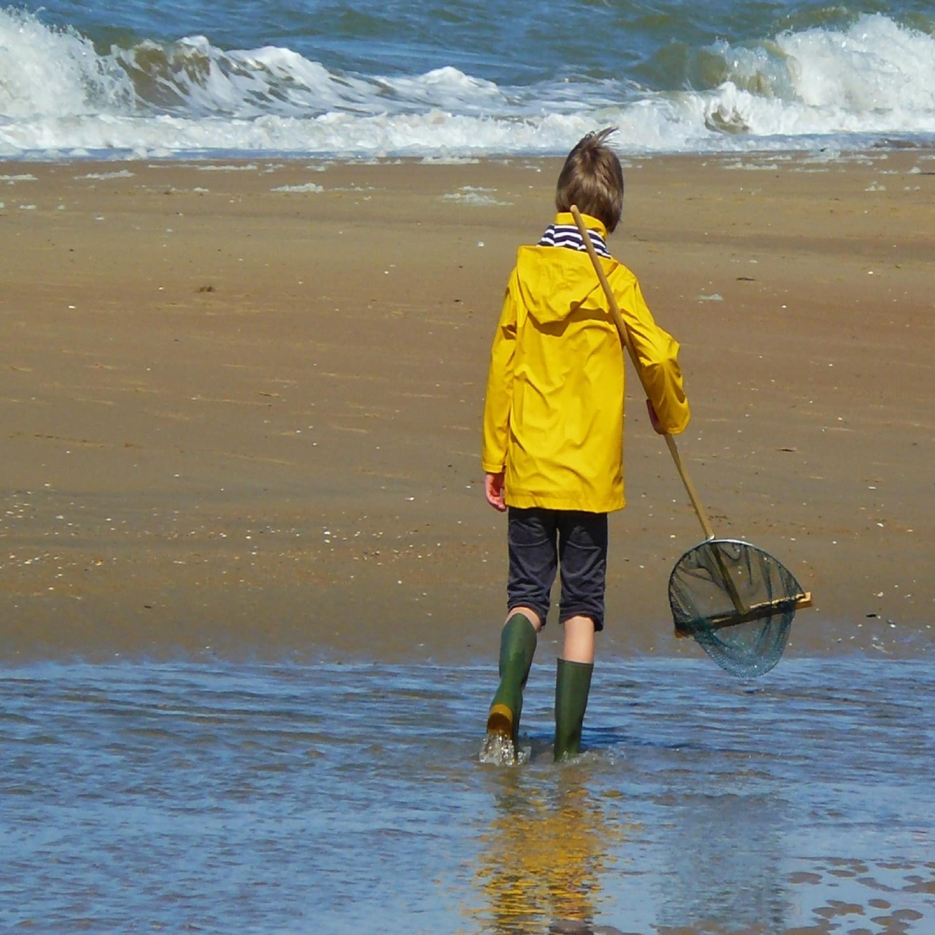 Rückenansicht: Junge mit gelber Jacke, grünen Gummistiefeln und Kescher am Strand.
