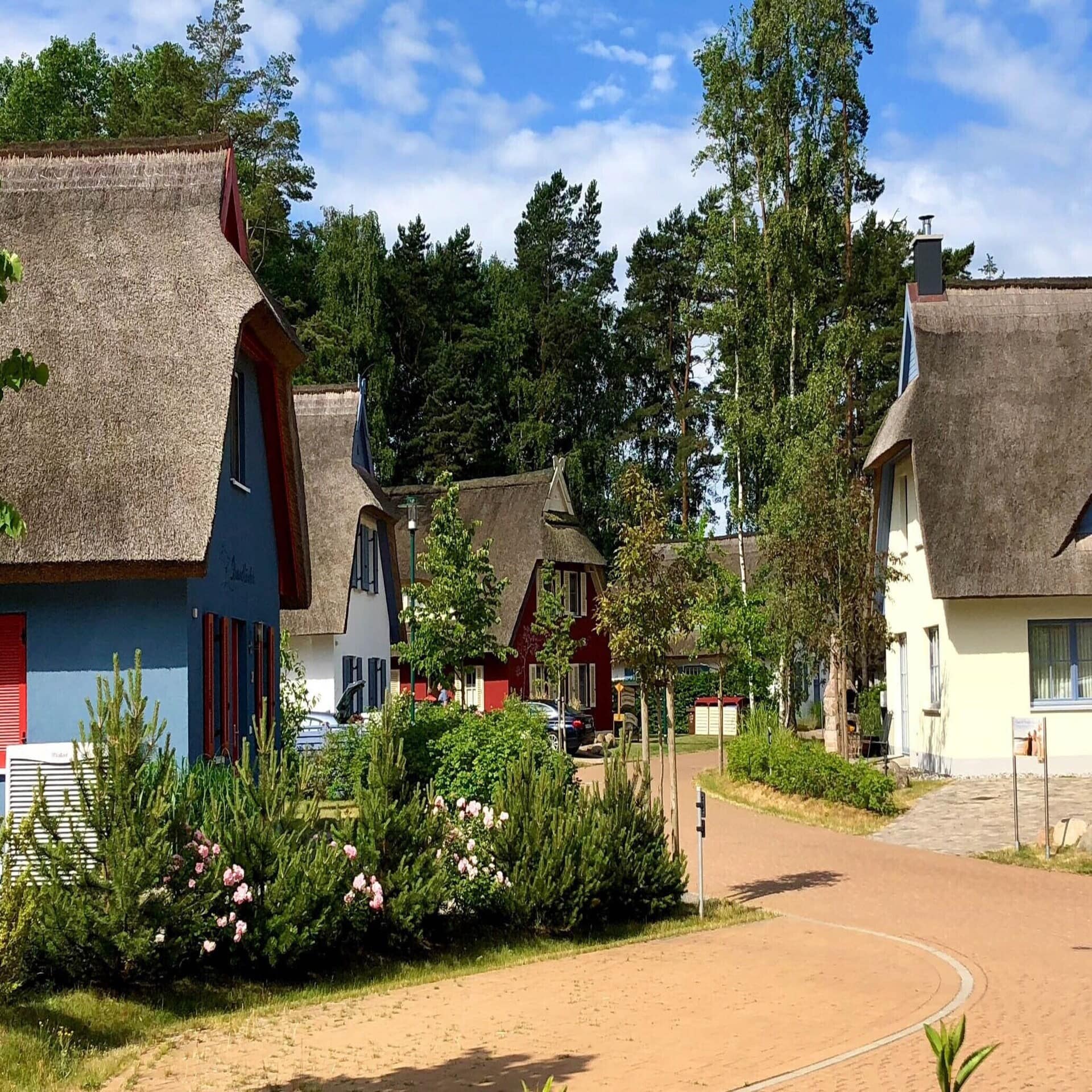 Eine kleine Straße an der bunte Reetdachhäuser stehen.