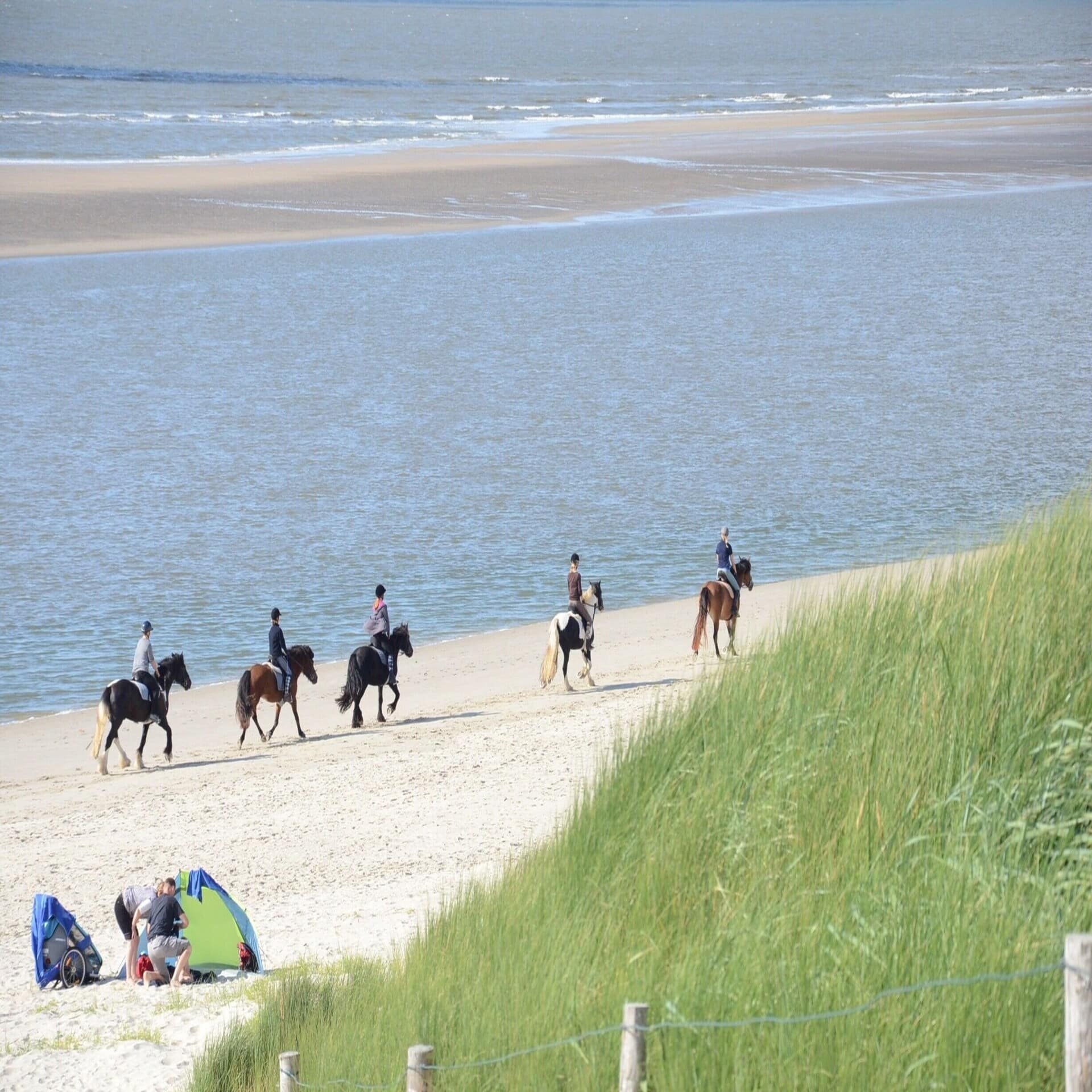5 Personen reiten auf Pferden den Strand entlang. Vorne Links ist ein Mann in einer Strandmuschel zu sehen.