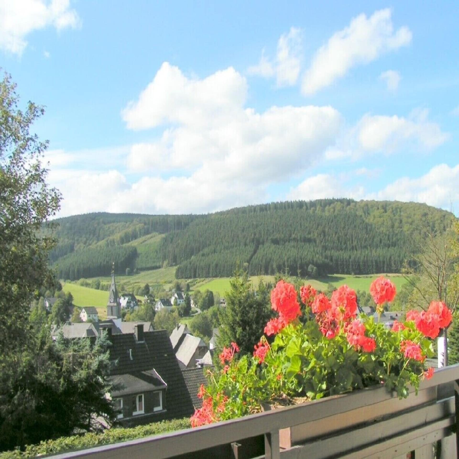 Blick von einem Balkon mit roten Blumen auf die ländliche Umgebung und einige Häuser.