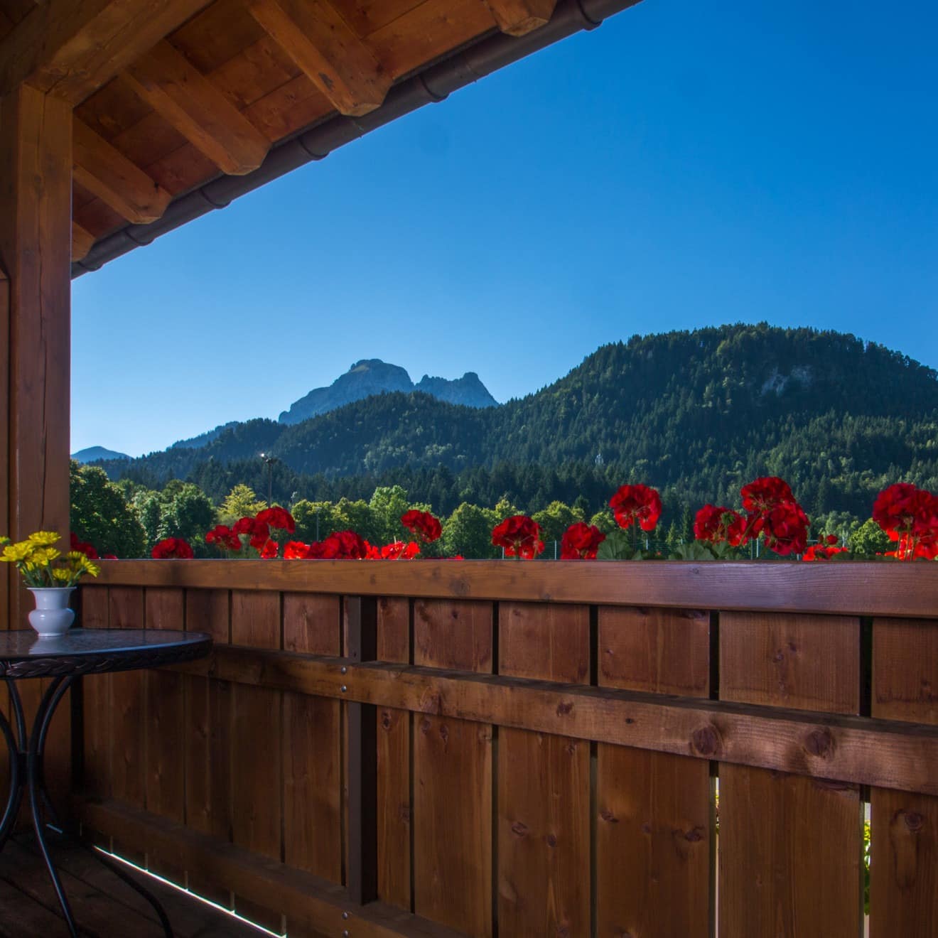 Blick vom Balkon einer Ferienwohnung in Füssen auf das bergige Umland, rote Blumen blühen in Blumenkästen am Balkon.