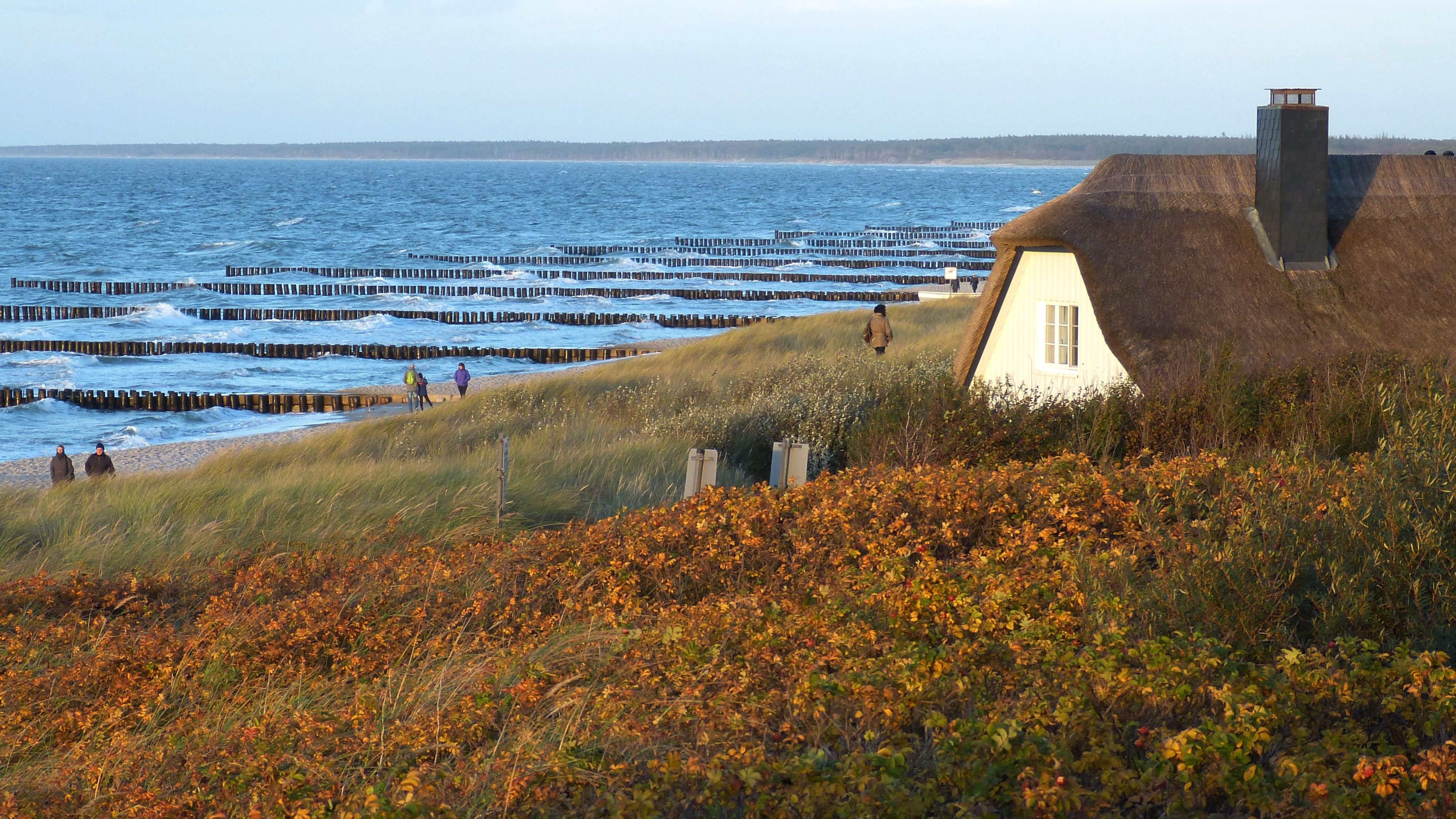 Halber Inselurlaub in Zingst