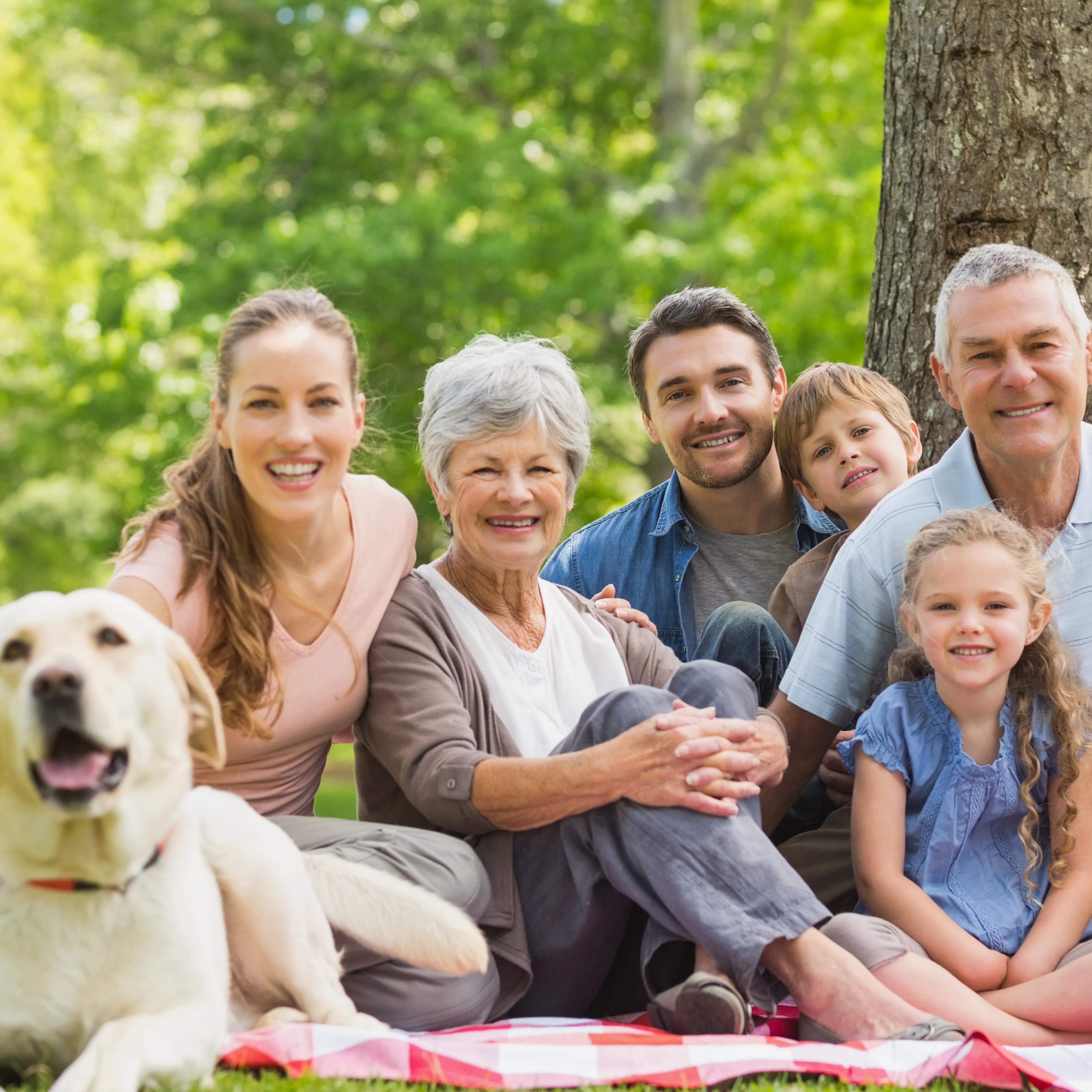 Großeltern, Eltern, 2 Kinder und ein Labrador sitzen auf einer Decke unter einem Baum und lachen in die Kamera.