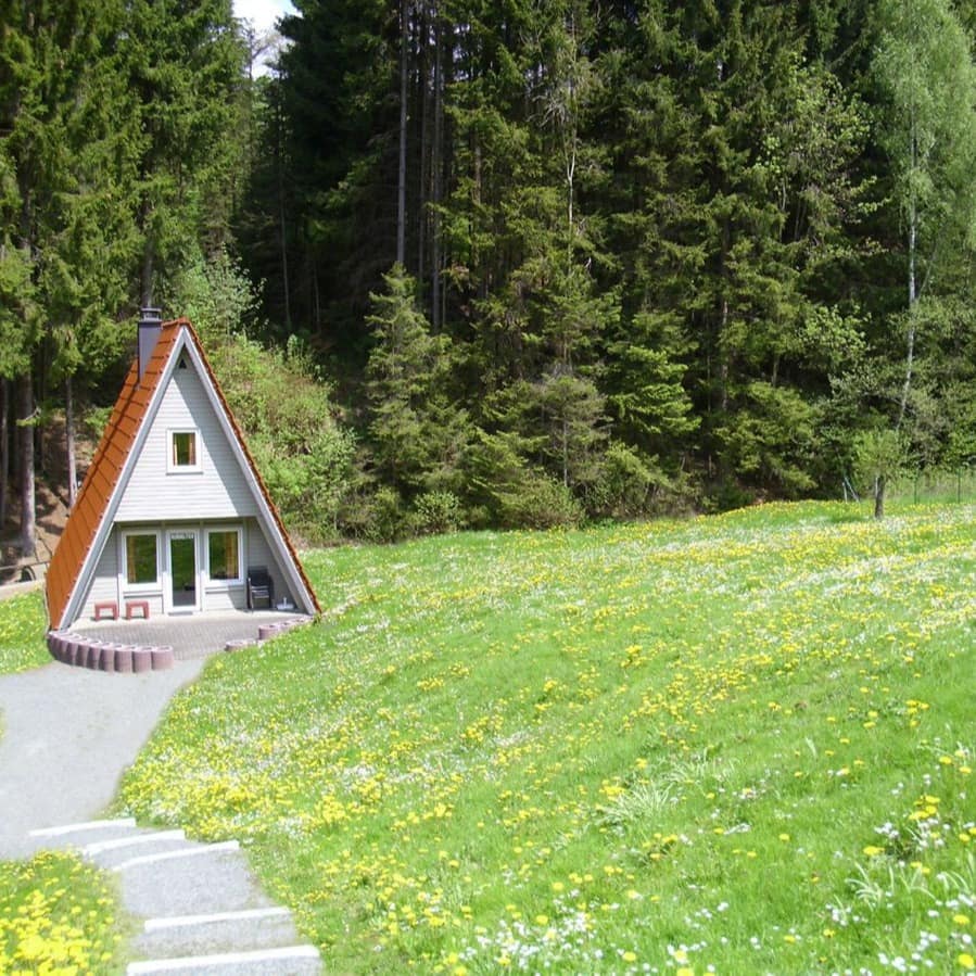 Berghütte bei Winterberg im Finnhütten-Stil mit Wald im Hintergrund