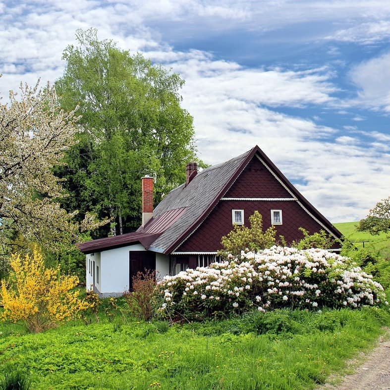 Eine Hütte am Wegrand umgeben von der blühenden Natur im Frühling 
