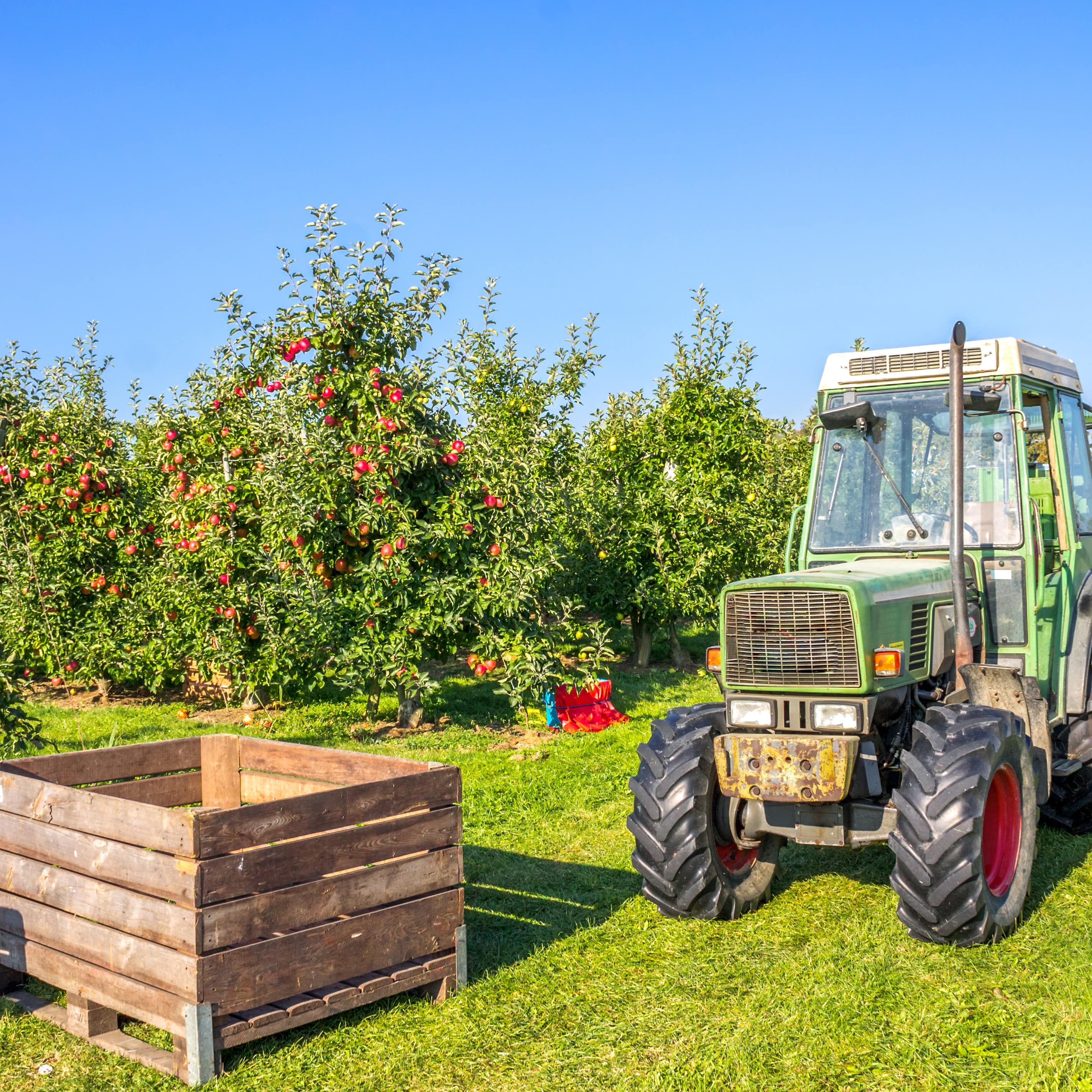 Eine Holzkiste und ein Traktor stehen vor einer Apfelplantage in Thurgau. 