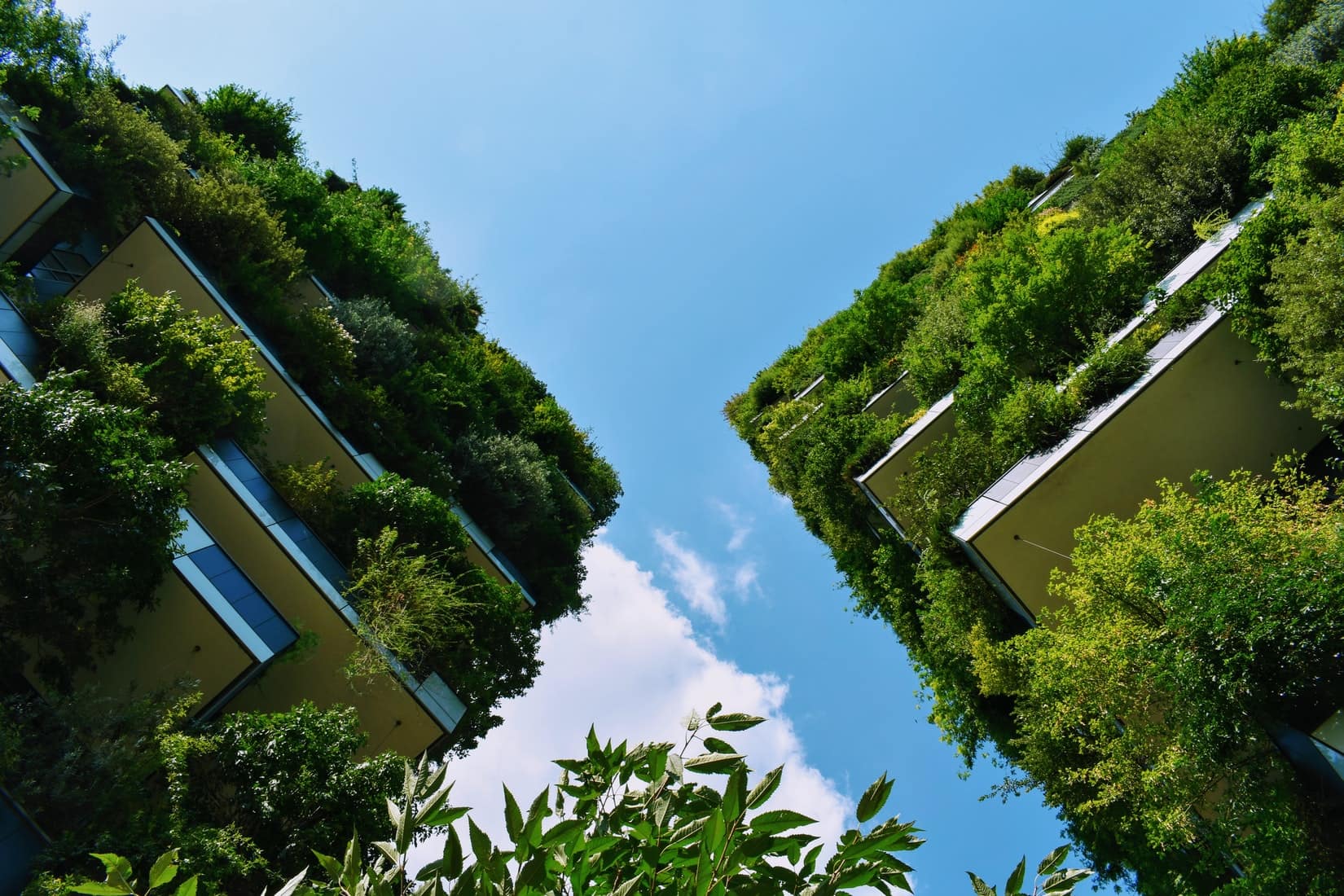 image of the vertical forest in milan