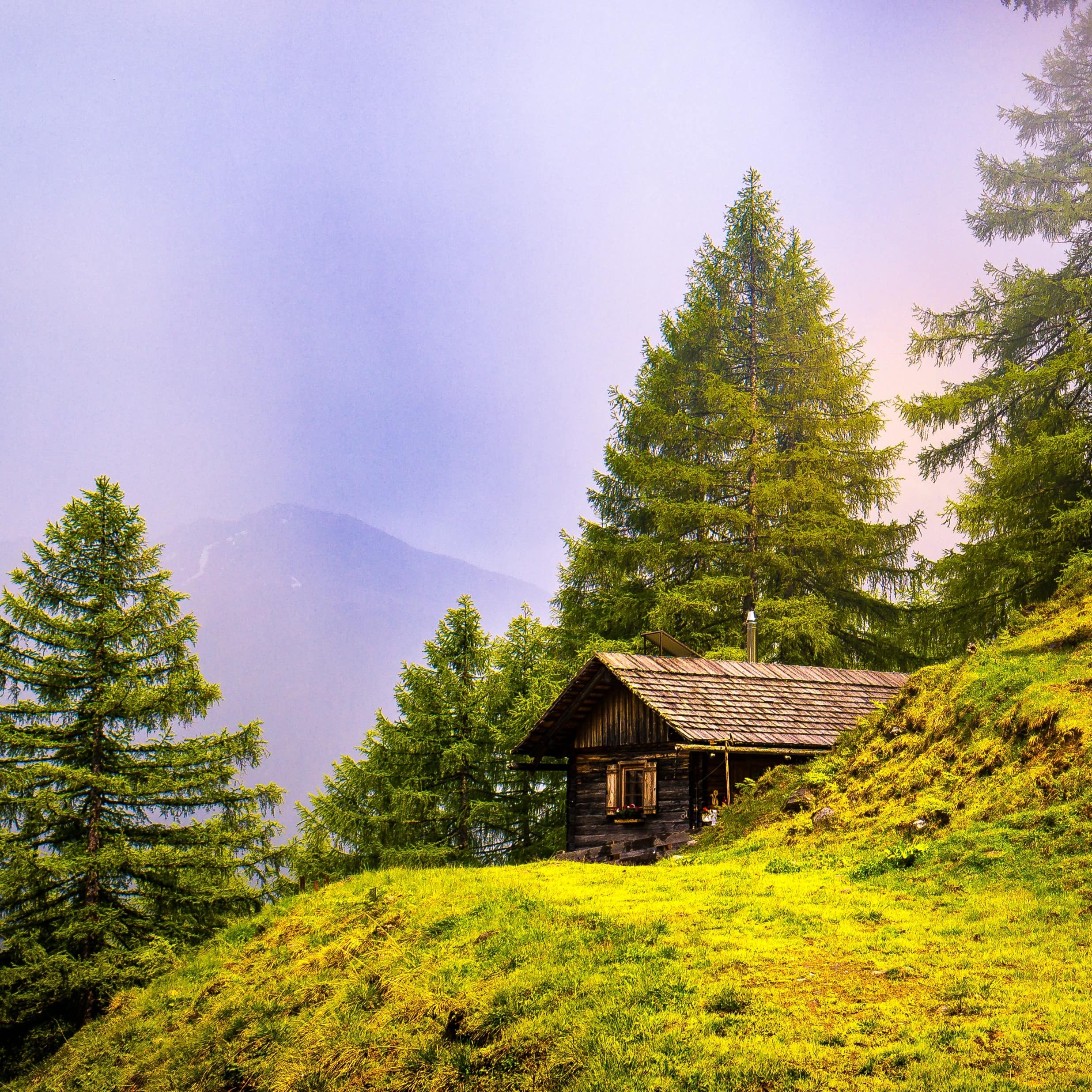 Kleine Holzhütte mitten im Wald
