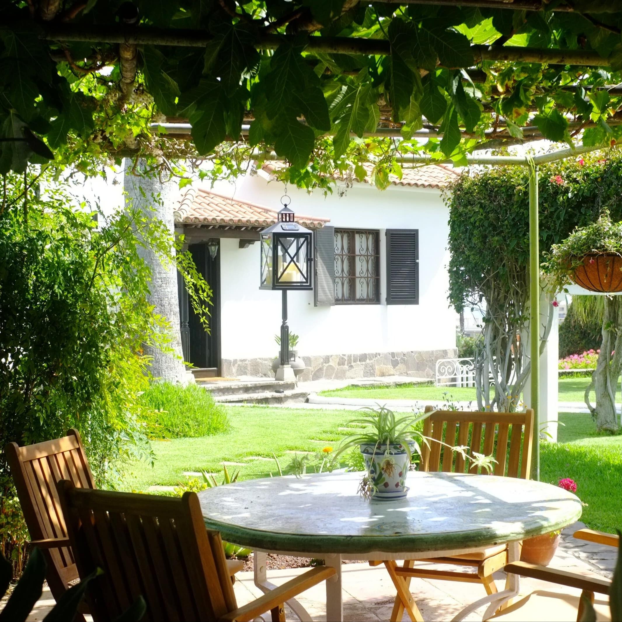 Kleines weißes Ferienhaus auf Teneriffa mit großem Garten und Esstisch mit Stühlen unter einer Laube