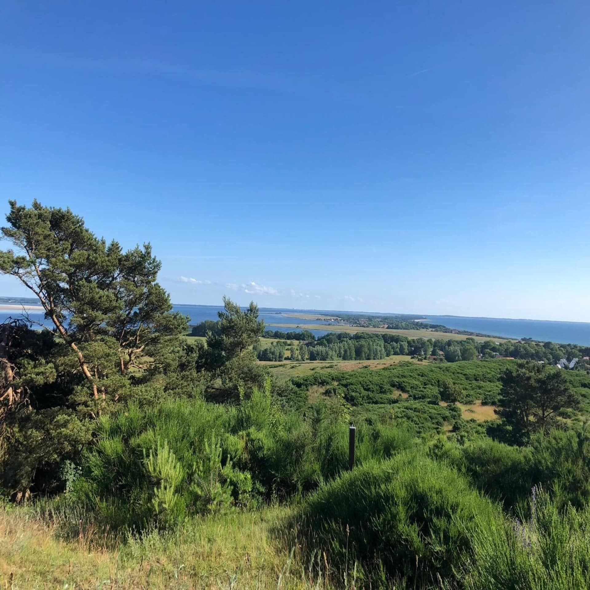 Blick vom Garten auf die grüne Natur um Klosters, das Meer ist zu sehen, der Himmel ist blau.