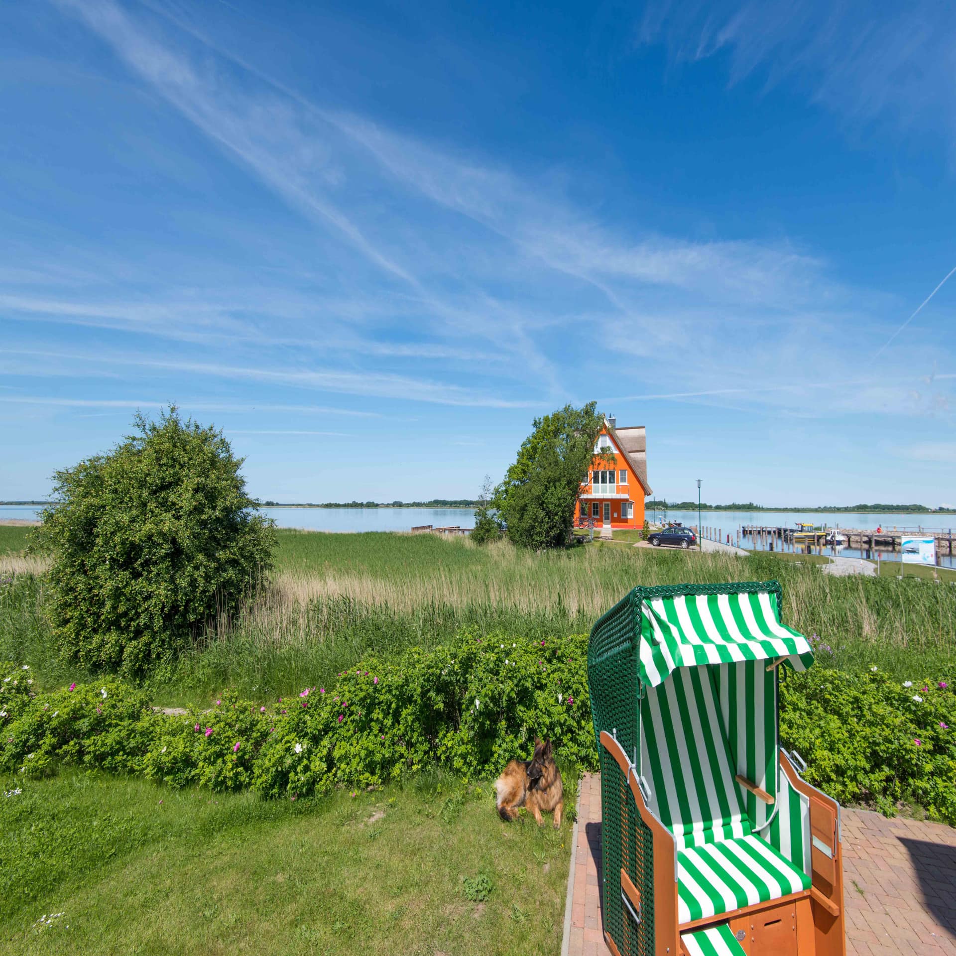 Schäferhund liegt im Garten, rechts ein grün-weiß gestreifter Strandkorb. Schilf, ein oranges Haus und Meer im Hintergrund.