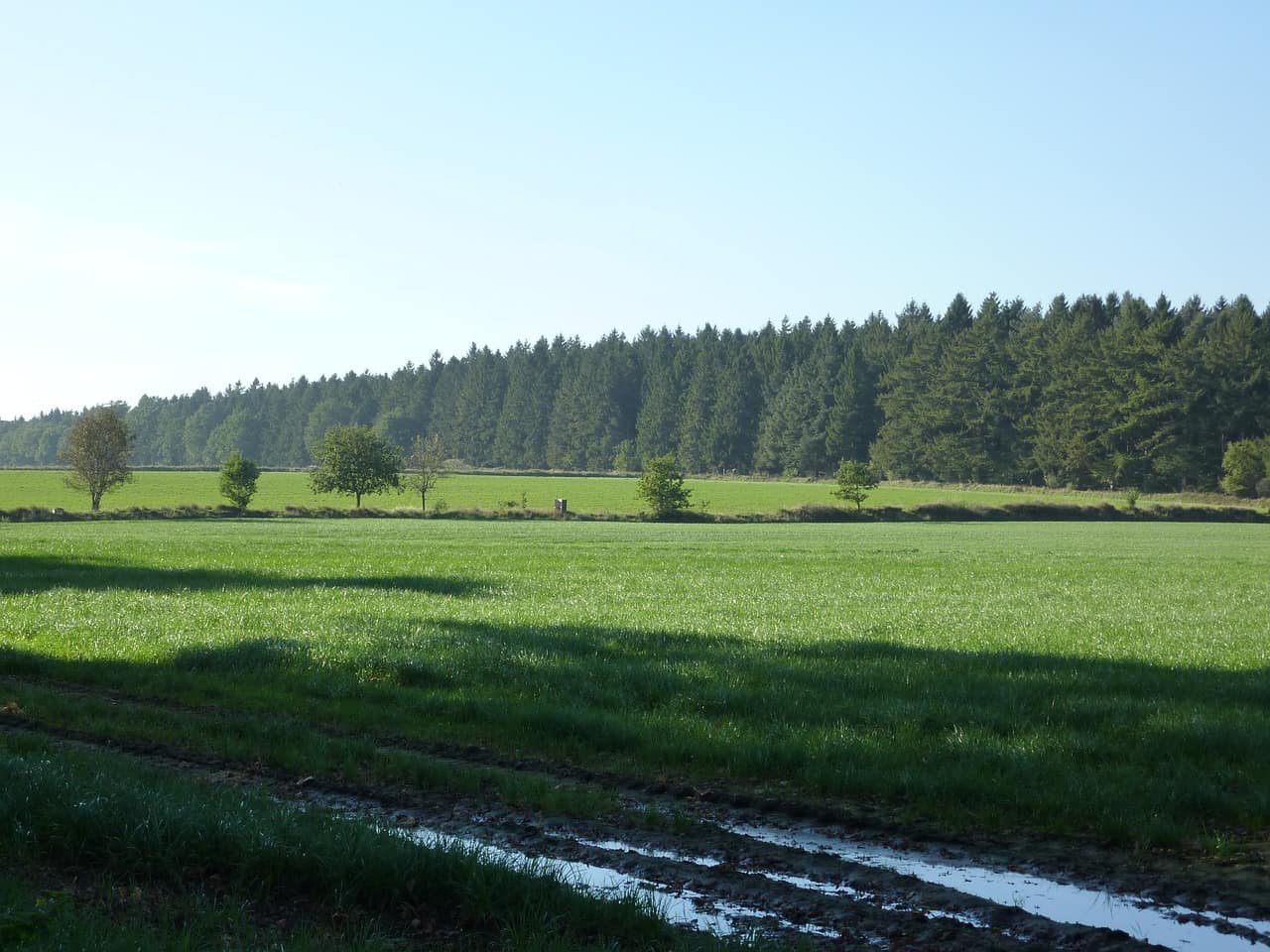 Gemütlich und günstig – Ferienwohnungen in Heide