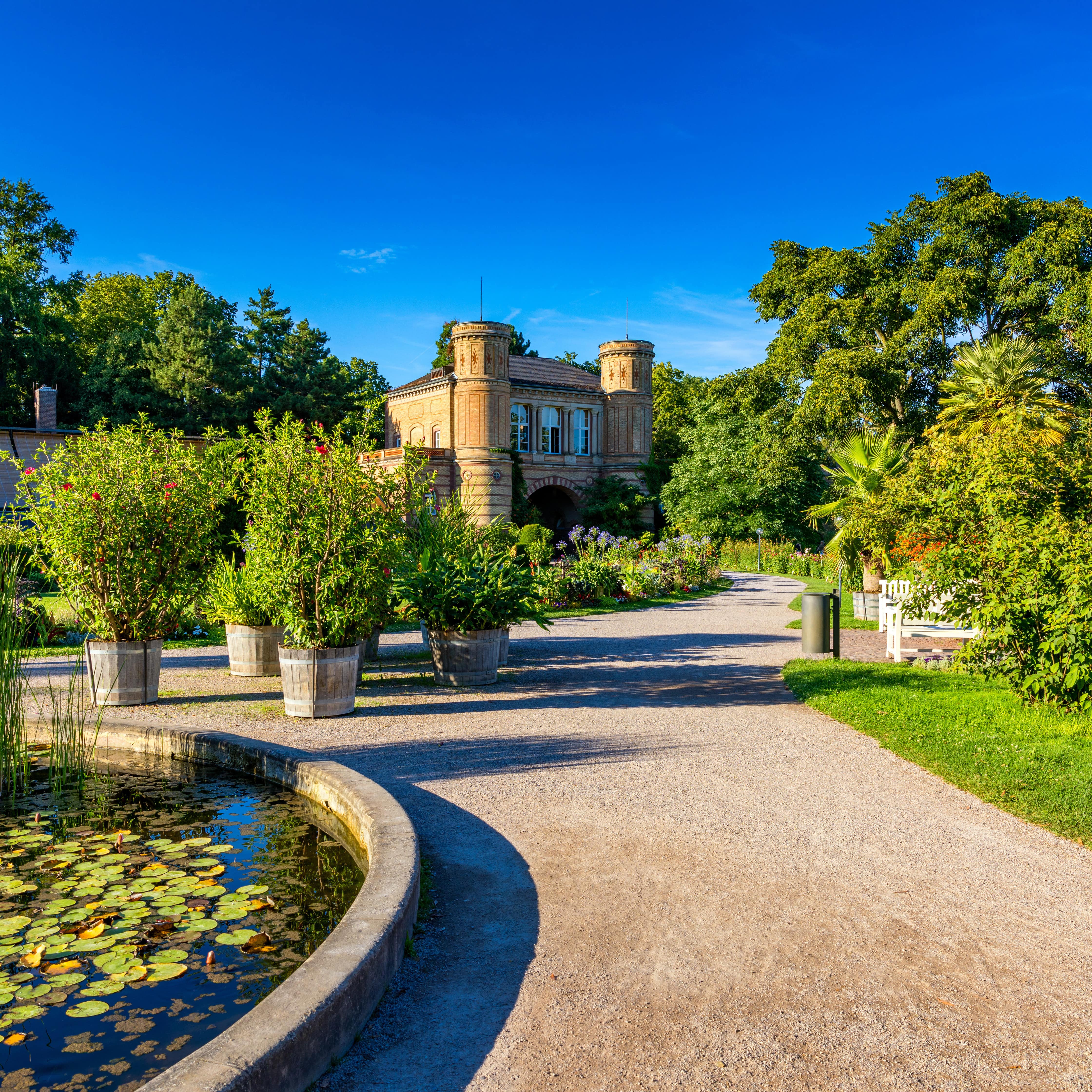 Ein Spazierweg im Botanischen Garten, links ein Teich mit Pflanzen, geradezu Büsche in Eimern, im Hintergrund ein Gebäude.