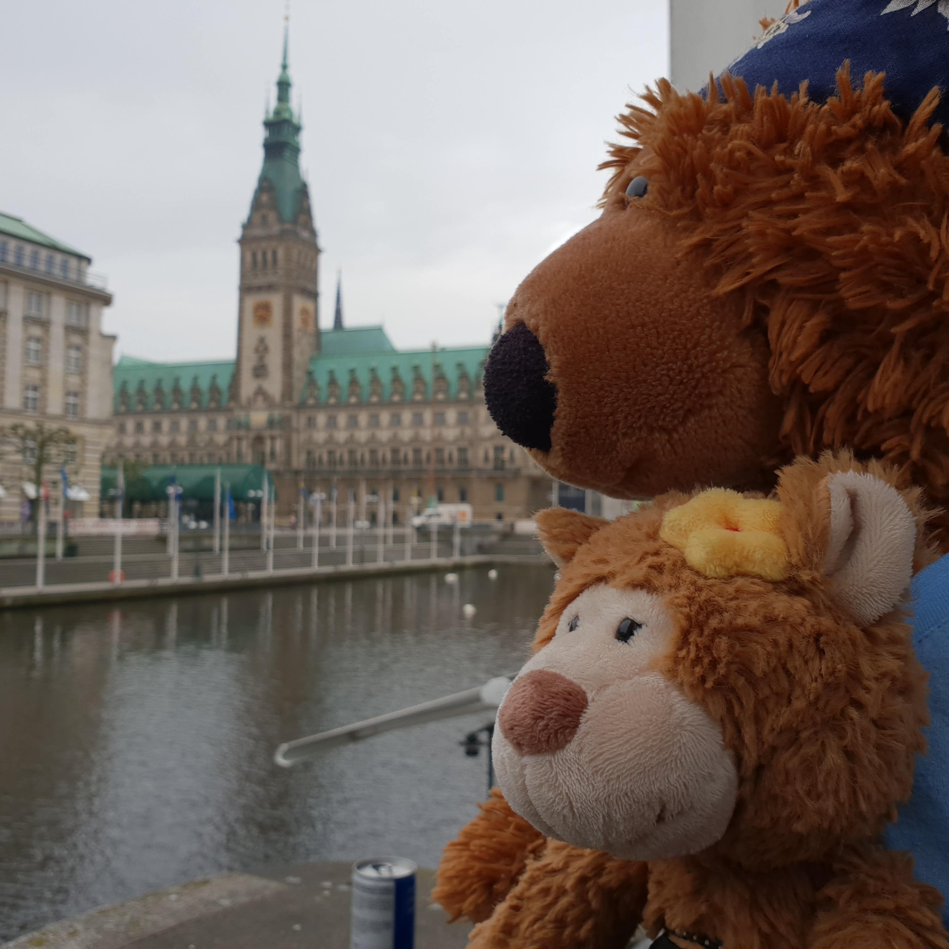 Nahaufnahme: 2 Teddys am Elbeufer im Hamburg bei schlechtem Wetter.
