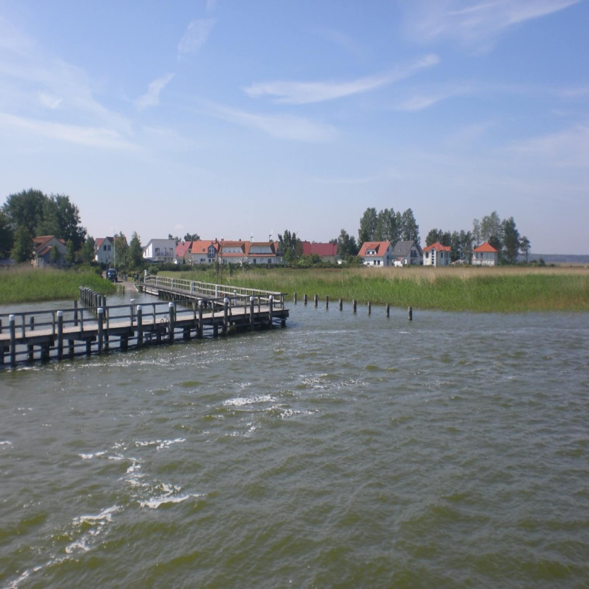 Blick vom Wasser auf einen Bootsanleger, einen Schilfgürtel und Häuser.