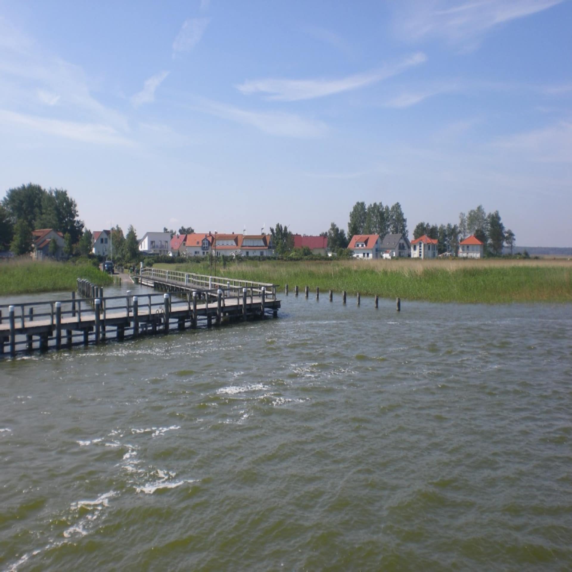 Blick vom Wasser auf einen Bootsanleger, einen Schilfgürtel und Häuser. 