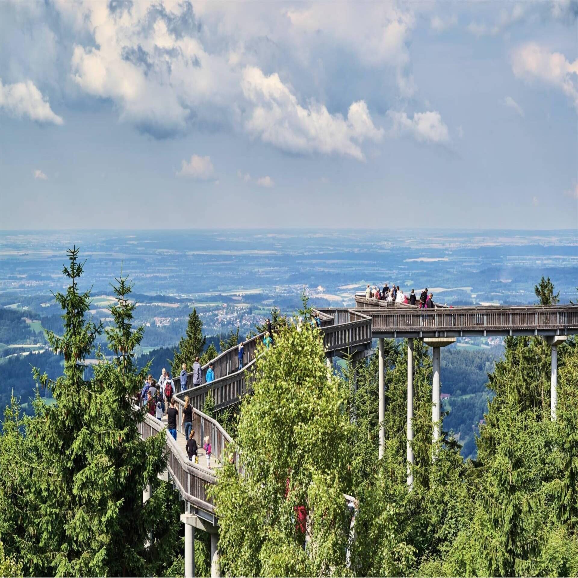 Personen auf einem Baumwipfelpfad mit Panoramablick auf die Umgebung. 