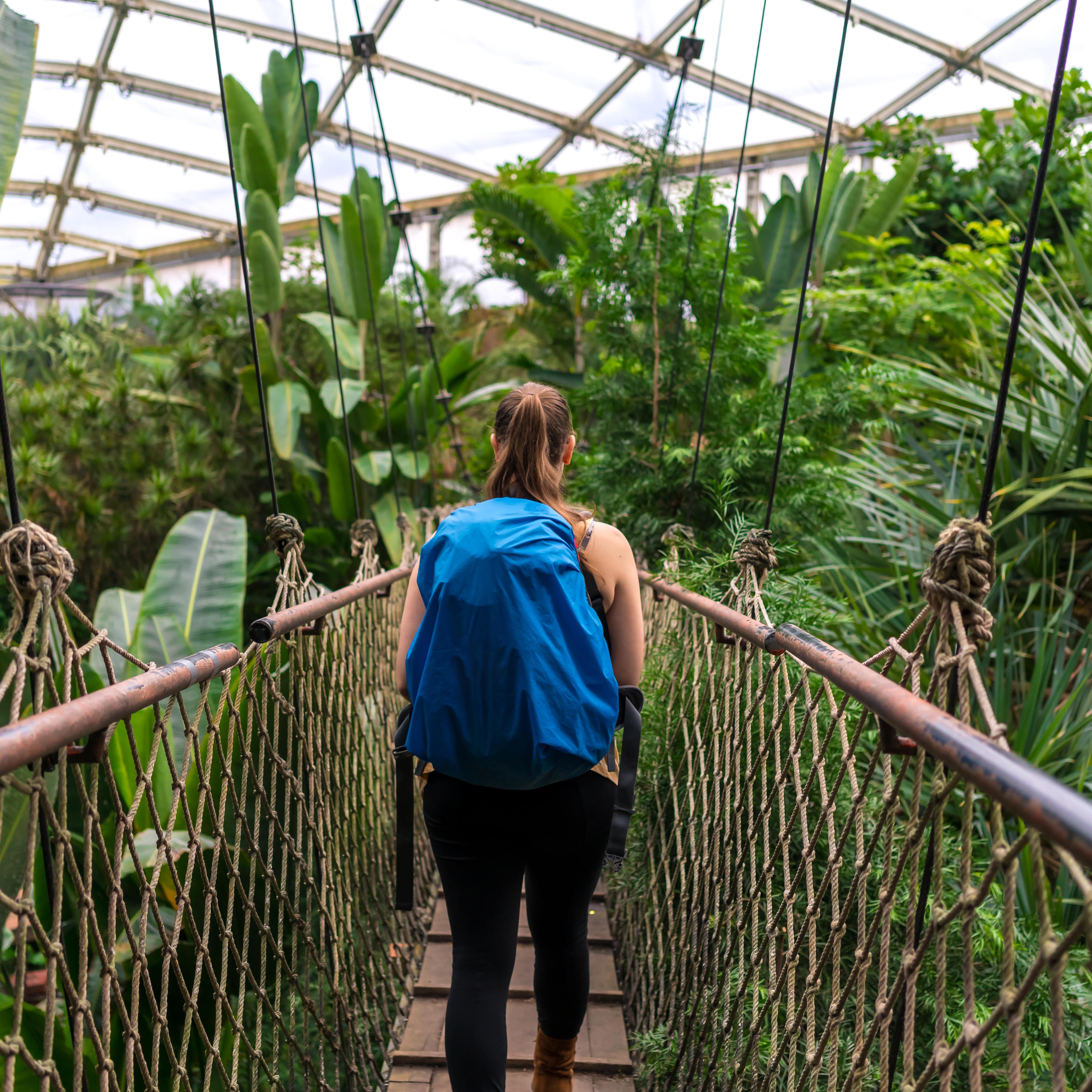 Rückenansicht: Mädchen mit blauem Rucksack geht über eine Hängebrücke im Dschungel des Leipziger Zoo.
