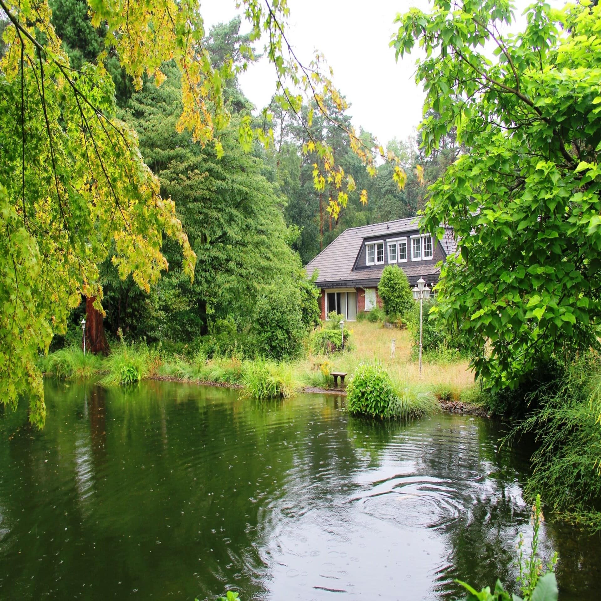 Blick über einen See auf ein Wohnhaus inmitten von Bäumen