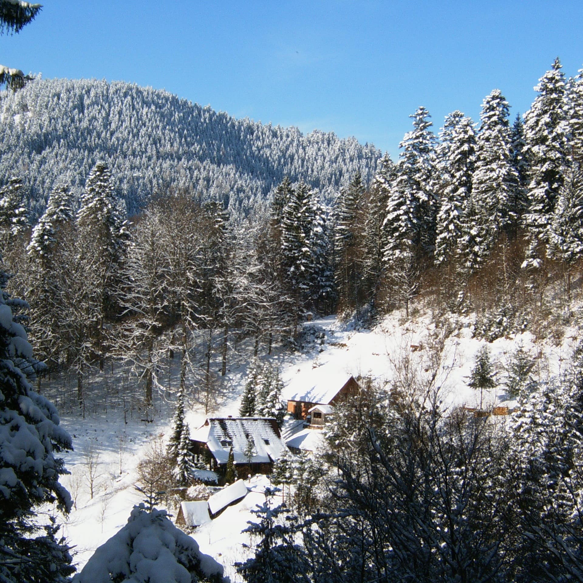 Einsam im Wald gelegene Hütte im winterlichen Schwarzwald für 30 Personen